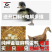 【精选】蛋鸭苗防疫齐全，全国发货运输包活