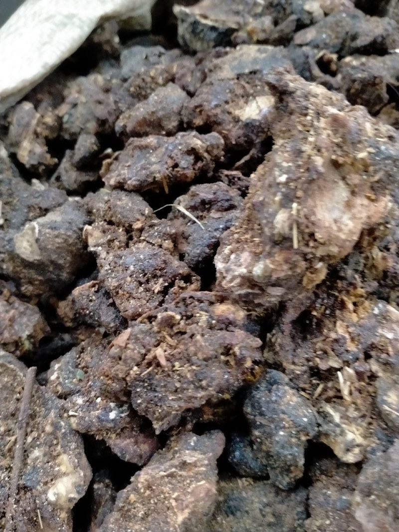 没药含量达标各种规格产地直销一手货源价格优！