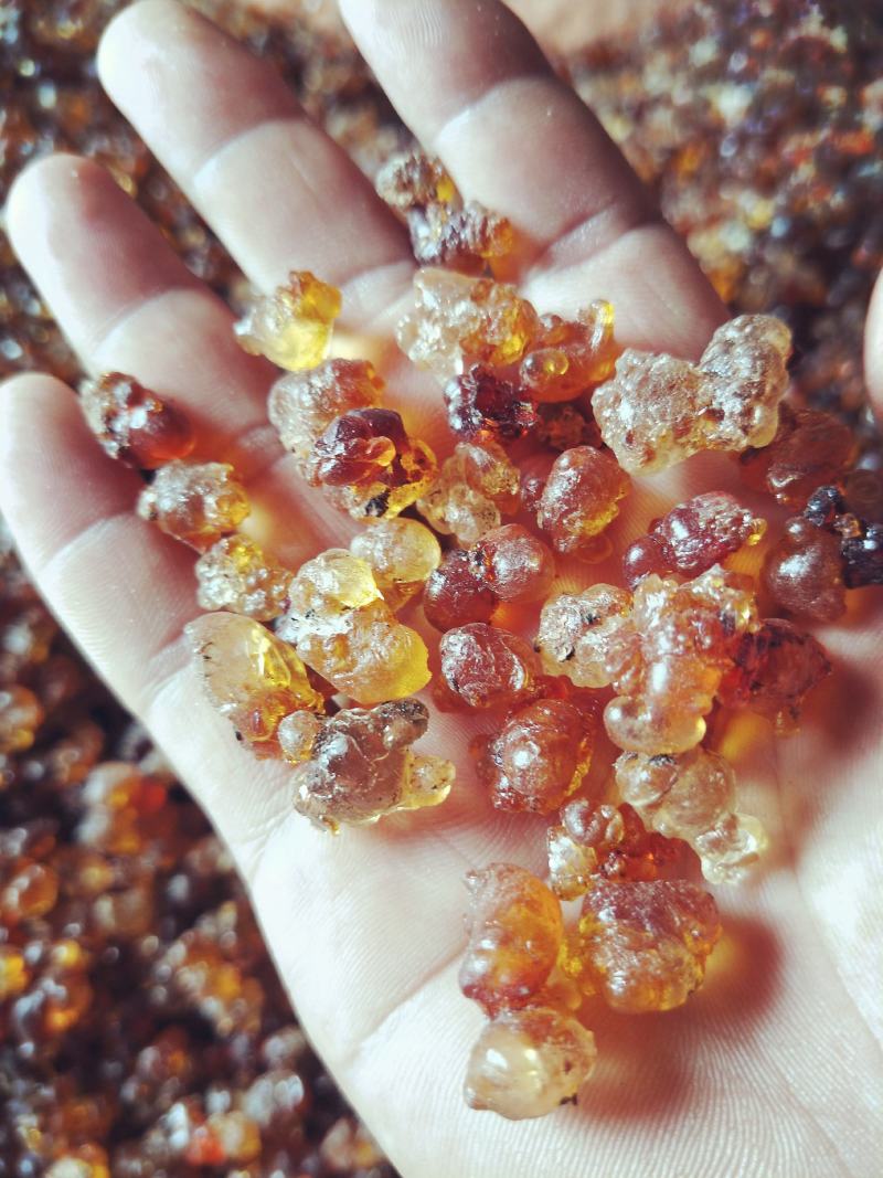 桃胶小批量大批量电商畅销款优选产地货源全国合作代办购销