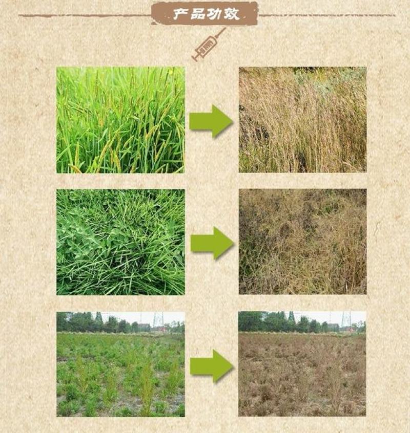 绿野777草甘膦铵盐粉剂杂草除草剂烂根除草连根死50g