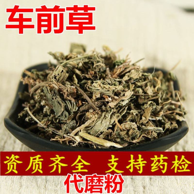 车前草中药材产地直销一手货源