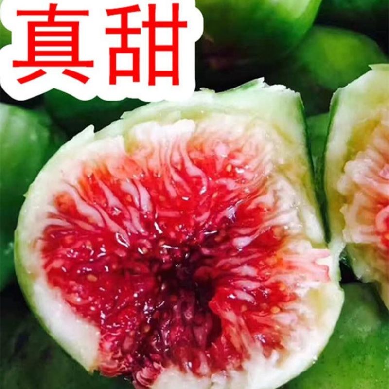 现摘现发！大无花果新鲜当季云南红皮紫皮65月应季孕妇