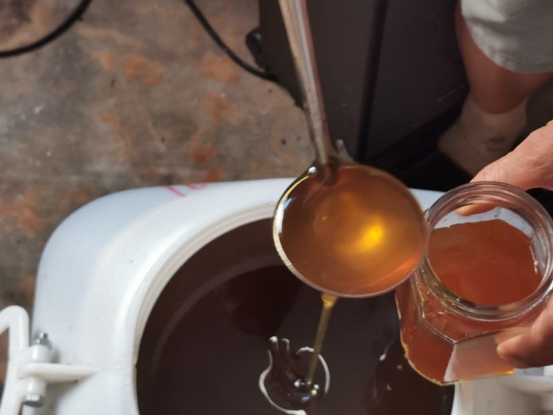 原生态山花自酿纯土蜂蜜