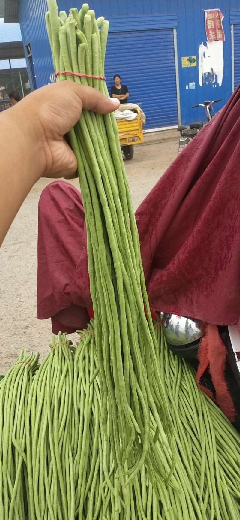【荐】精品长豆角产地直销商超电商加工厂发货全国