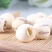 食用白莲子质量如图代抓药方不满意可以退换货