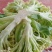 加工厂有机花菜，商品有机菜花，长期大量供应
