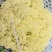 加工厂有机花菜，商品有机菜花，长期大量供应