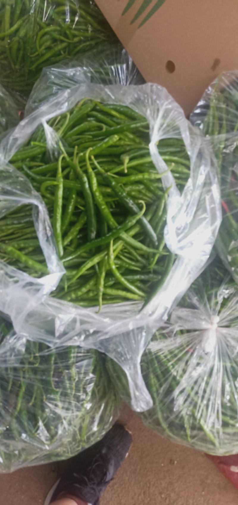 产地直销【小米椒，线椒，美人椒，螺丝椒，杭椒】大量上市。