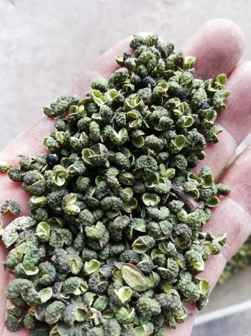 （基地直供）青花椒干鲜都有，常年供货，批发零售。