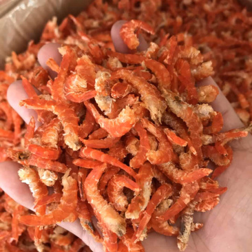 虾米金勾虾米新鲜淡干