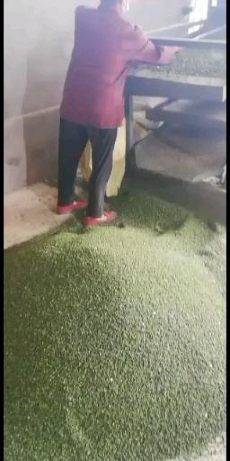 花椒基地直供，品质保证，价优物美