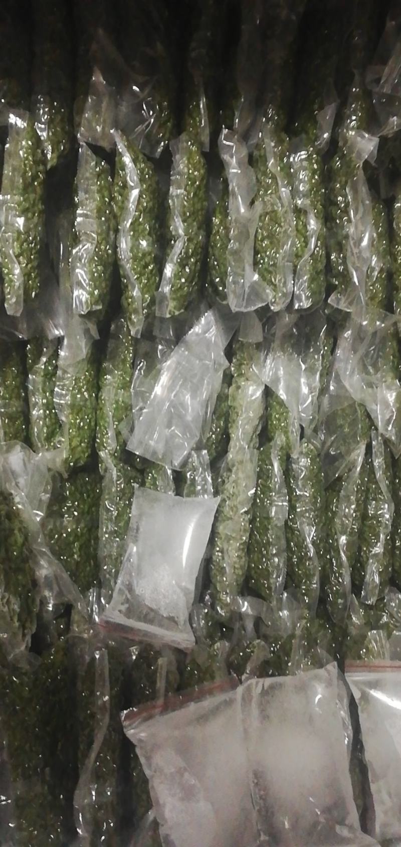九叶青花椒基地销售，品质保证