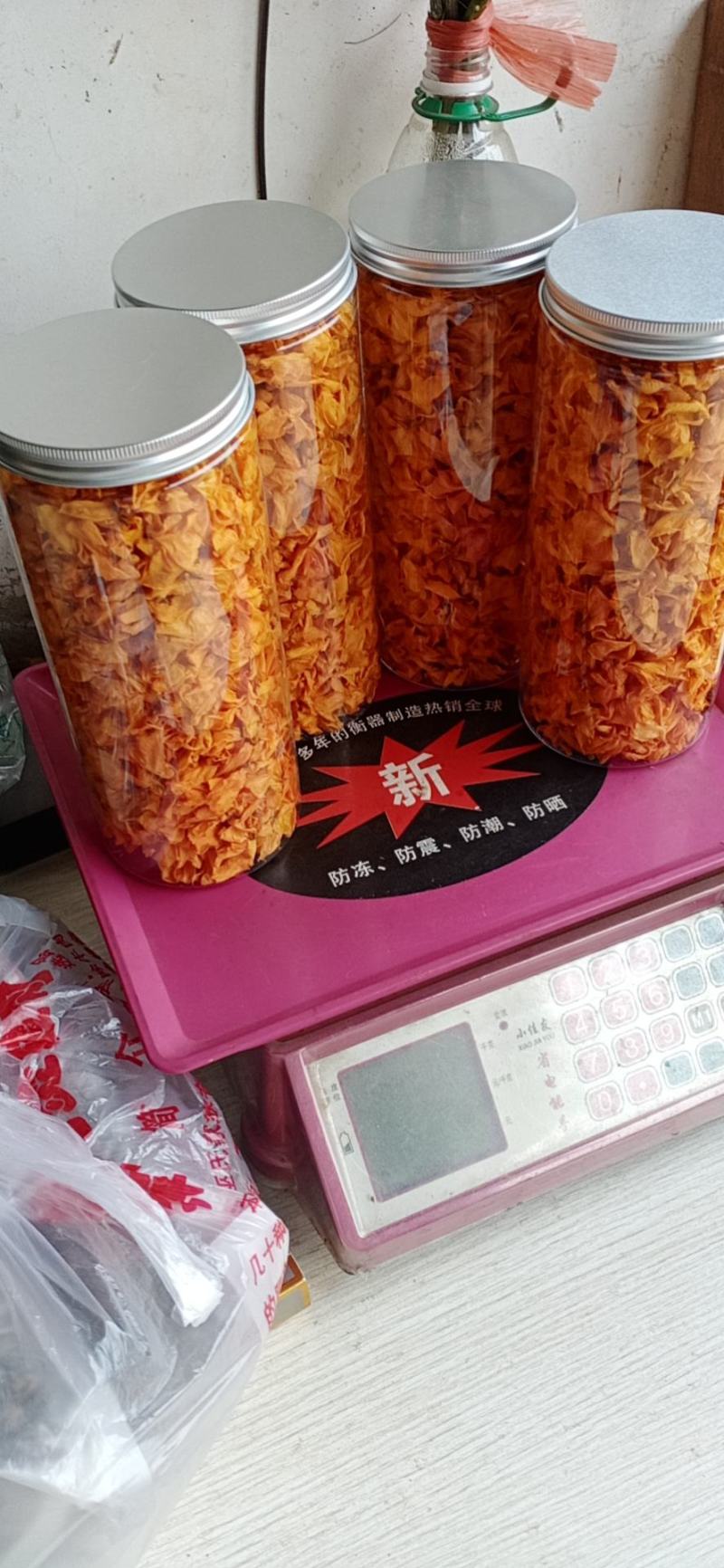 夹江叠鞘石斛基地批发