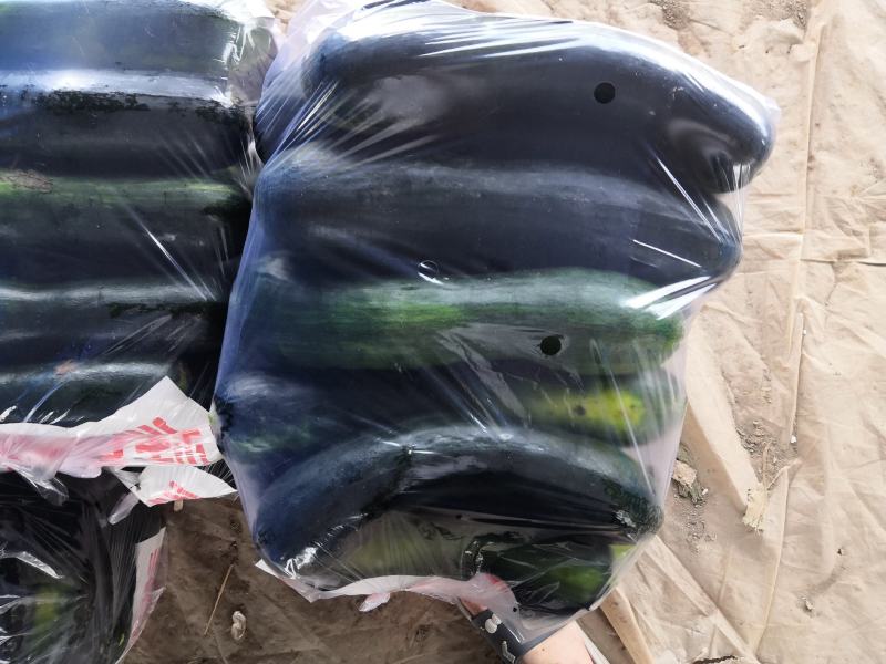 河南菜南瓜条形好颜色亮产地直发货源充足欢迎来电订购