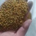 青海油菜杂花粉满5斤包邮