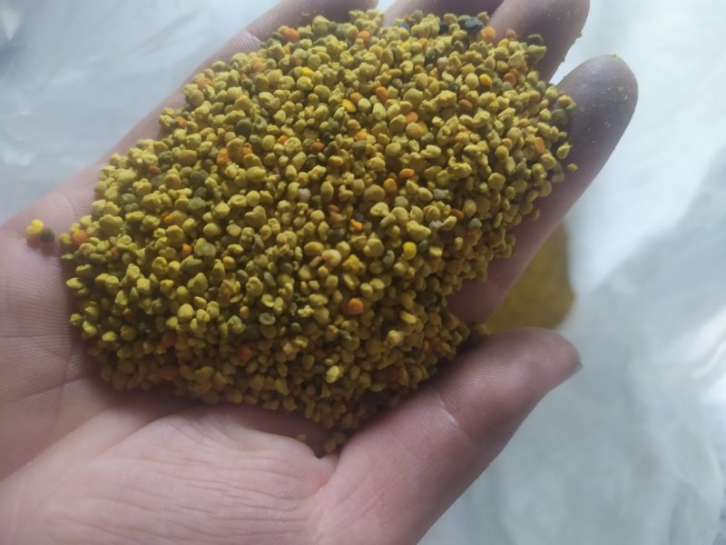 青海油菜杂花粉满5斤包邮