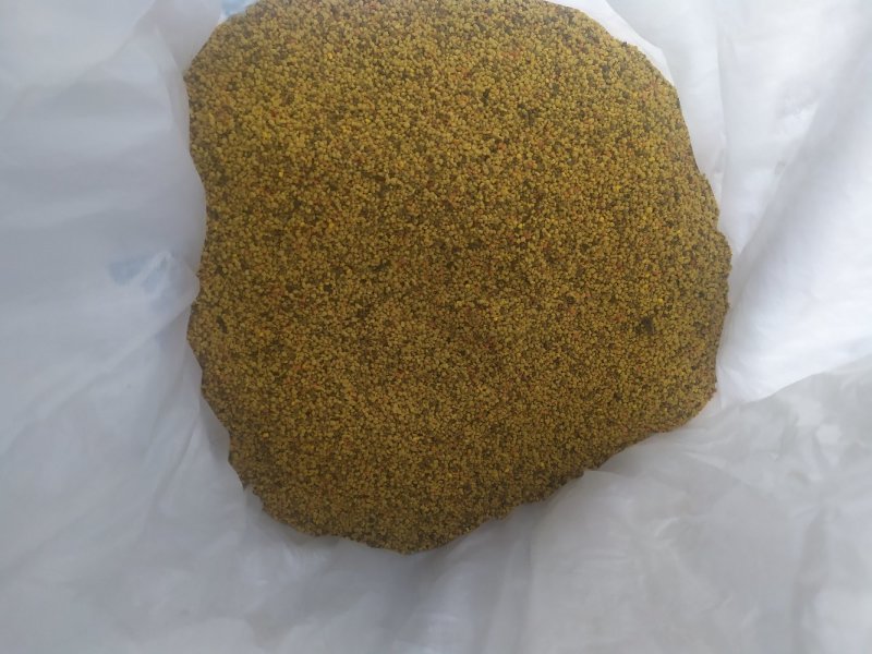 青海油菜杂花粉满5斤包邮