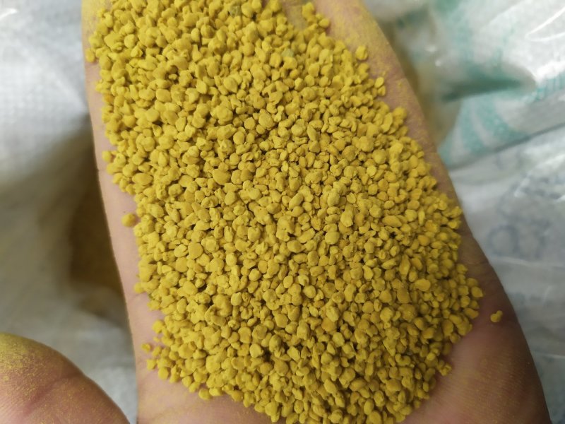 青海油菜杂花粉满5斤包邮