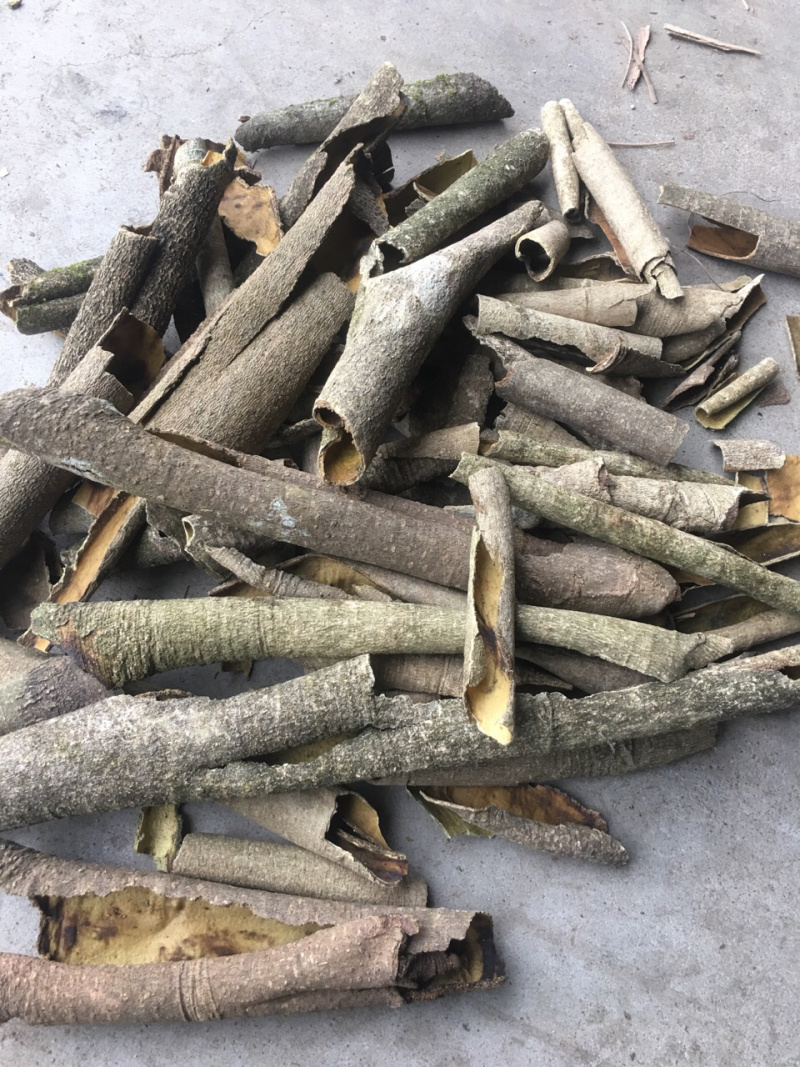 产地直供高含量救必应：欢迎国内植提企业前来考察洽谈业务！