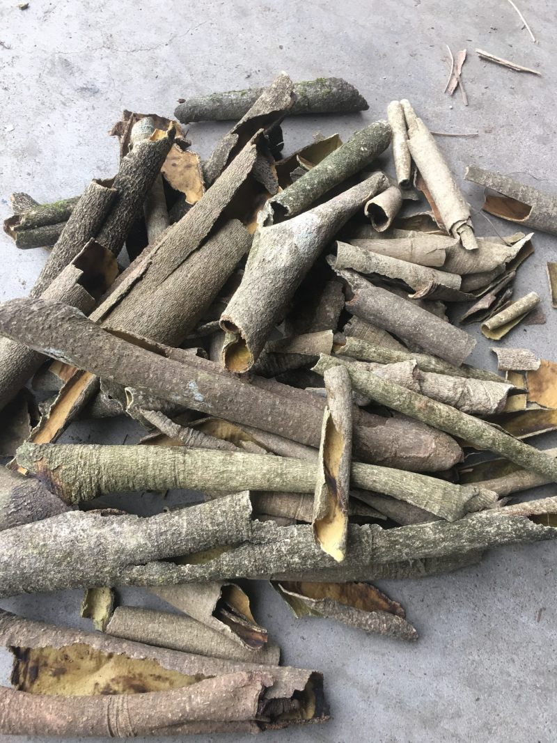 产地直供高含量救必应：欢迎国内植提企业前来考察洽谈业务！