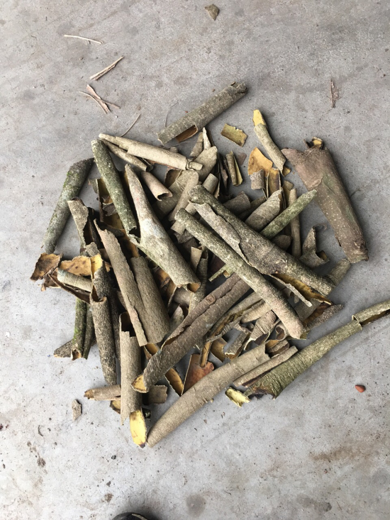 产地直供高含量救必应：欢迎国内植提企业前来考察洽谈业务！