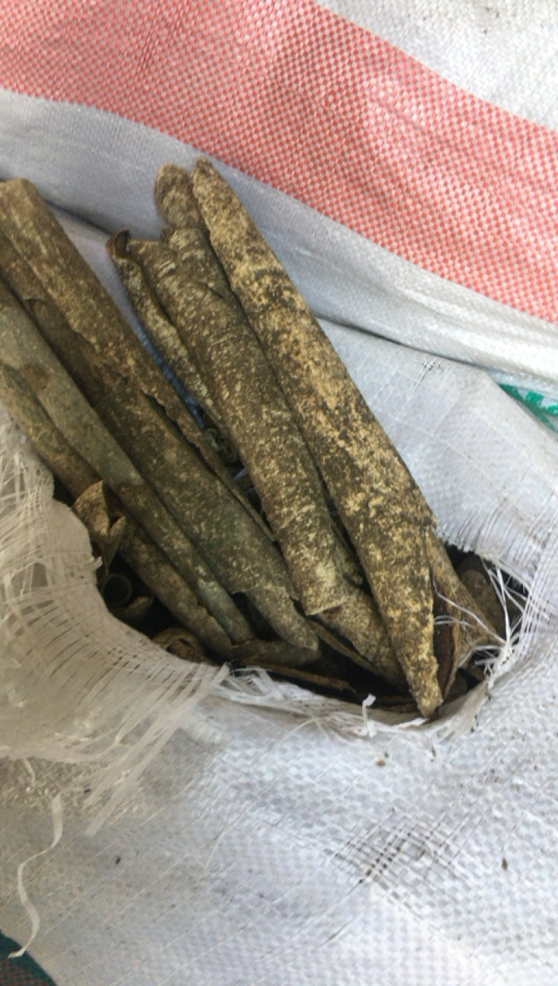 产地直供高含量救必应：欢迎国内植提企业前来考察洽谈业务！