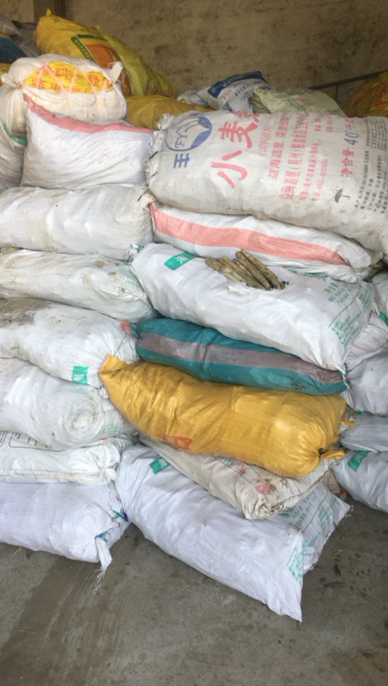产地直供高含量救必应：欢迎国内植提企业前来考察洽谈业务！