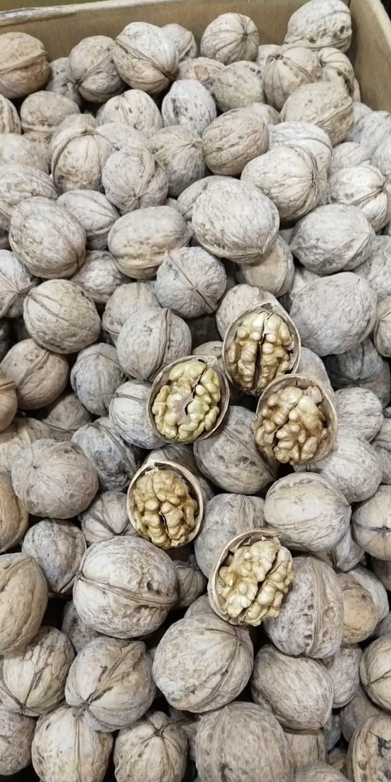 新疆特产核桃原生态无漂洗核桃原色纸皮核桃手捏即开