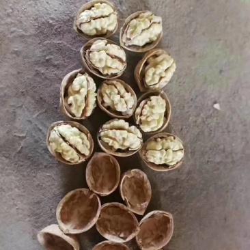 新疆特产核桃原生态无漂洗核桃原色纸皮核桃手捏即开