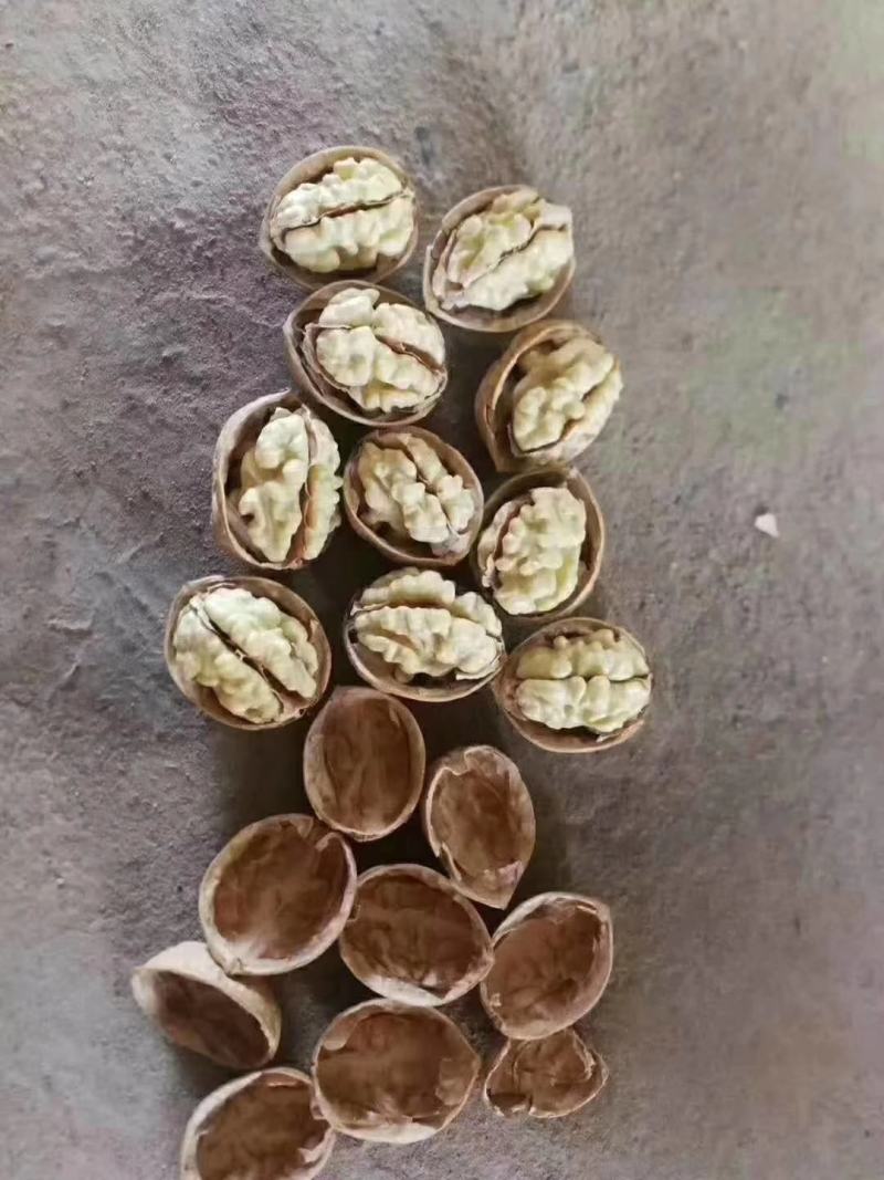新疆特产核桃原生态无漂洗核桃原色纸皮核桃手捏即开