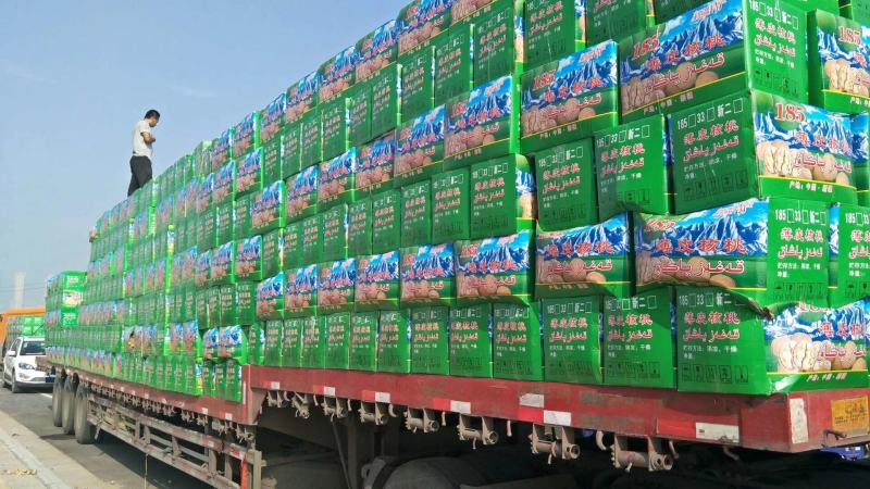 新疆特产核桃原生态无漂洗核桃原色纸皮核桃手捏即开
