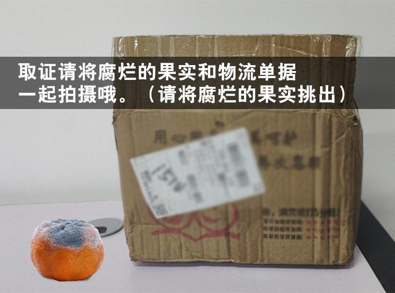 紫皮百香果大国批发5斤装百香果福建大果销售一件代发