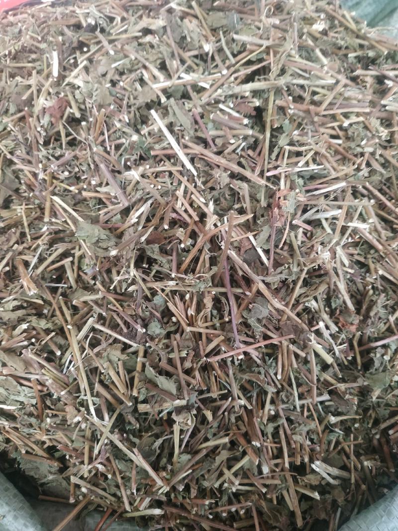 冬凌草～新货～量大优惠～质量好欢迎咨询采购
