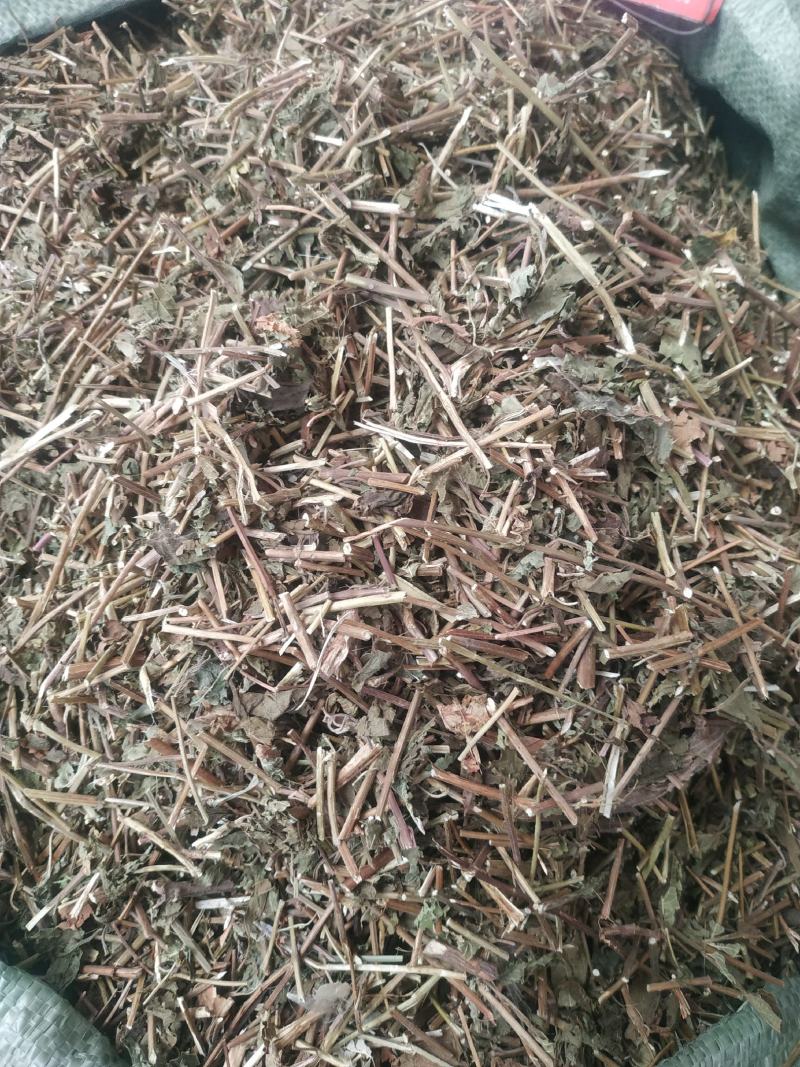 冬凌草～新货～量大优惠～质量好欢迎咨询采购