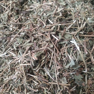 冬凌草～新货～量大优惠～质量好欢迎咨询采购