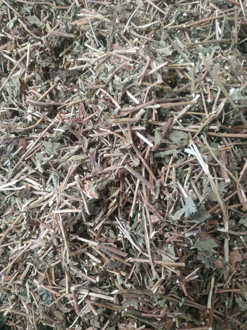 冬凌草～新货～量大优惠～质量好欢迎咨询采购