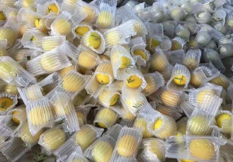 水果/农产品，电商发货包装，防震防摔，价格比泡沫珍珠棉。