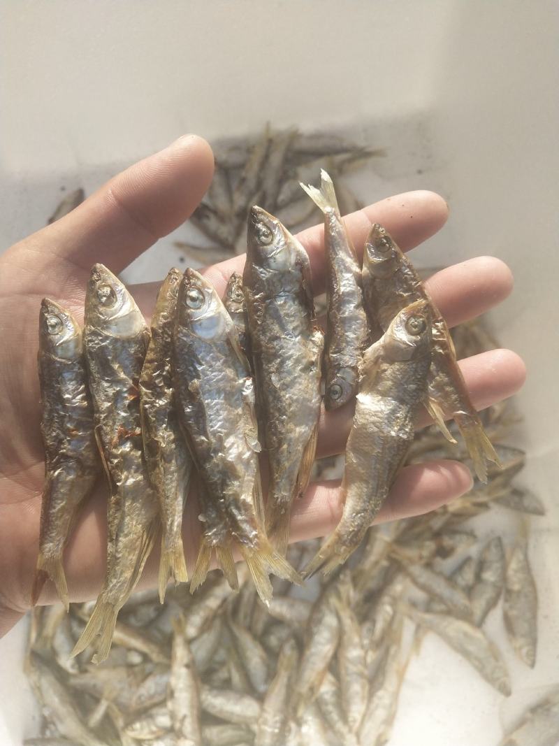 桃花马口鱼干烤干烘干无盐干