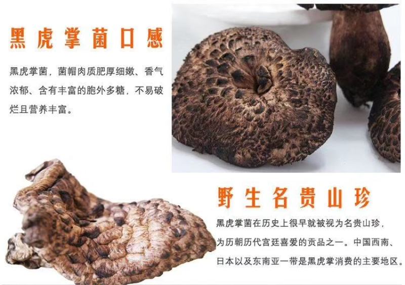 今年的哄干黑虎掌已有备货需要的可以联系