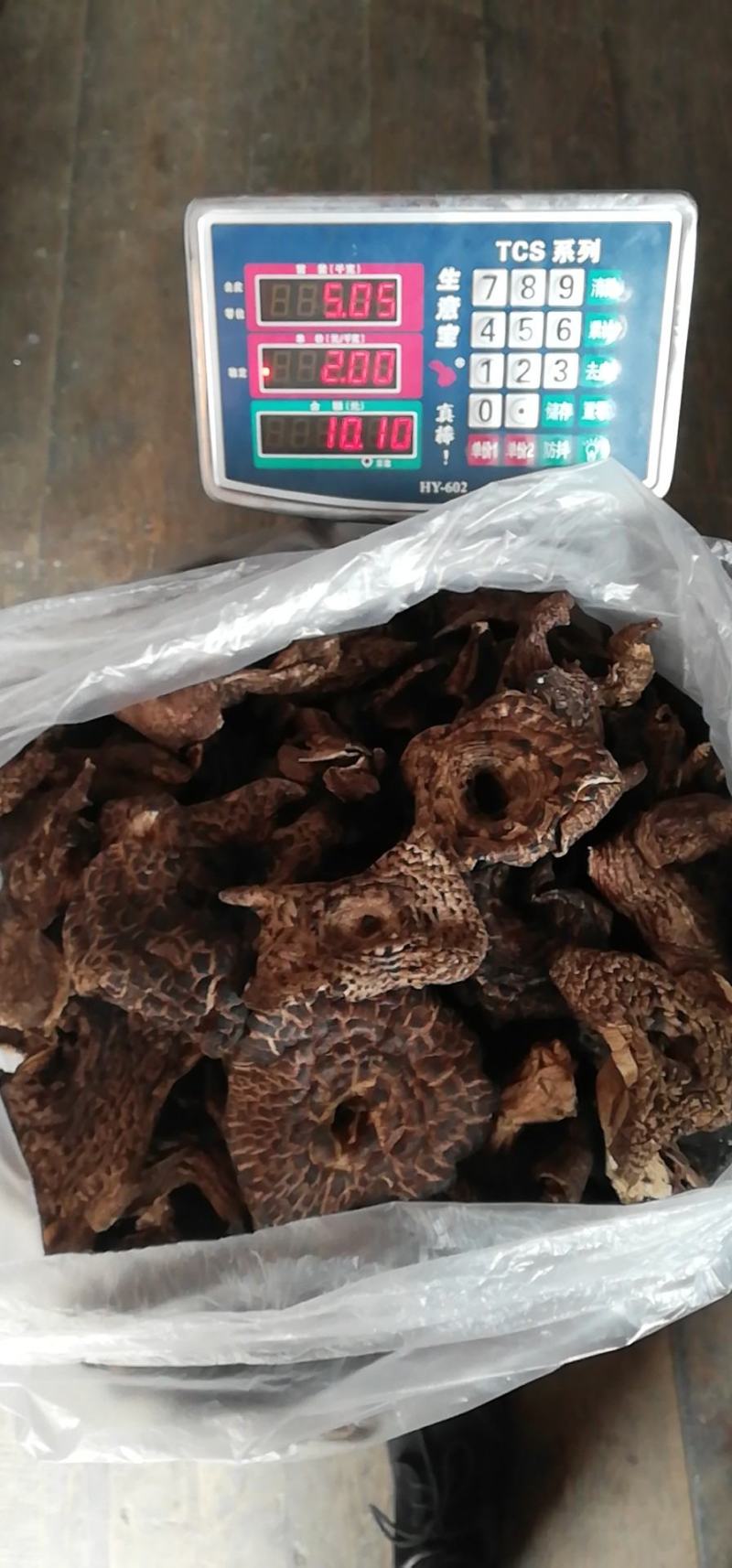 今年的哄干黑虎掌已有备货需要的可以联系
