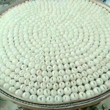 嗯，桂圆干桂圆肉促销。