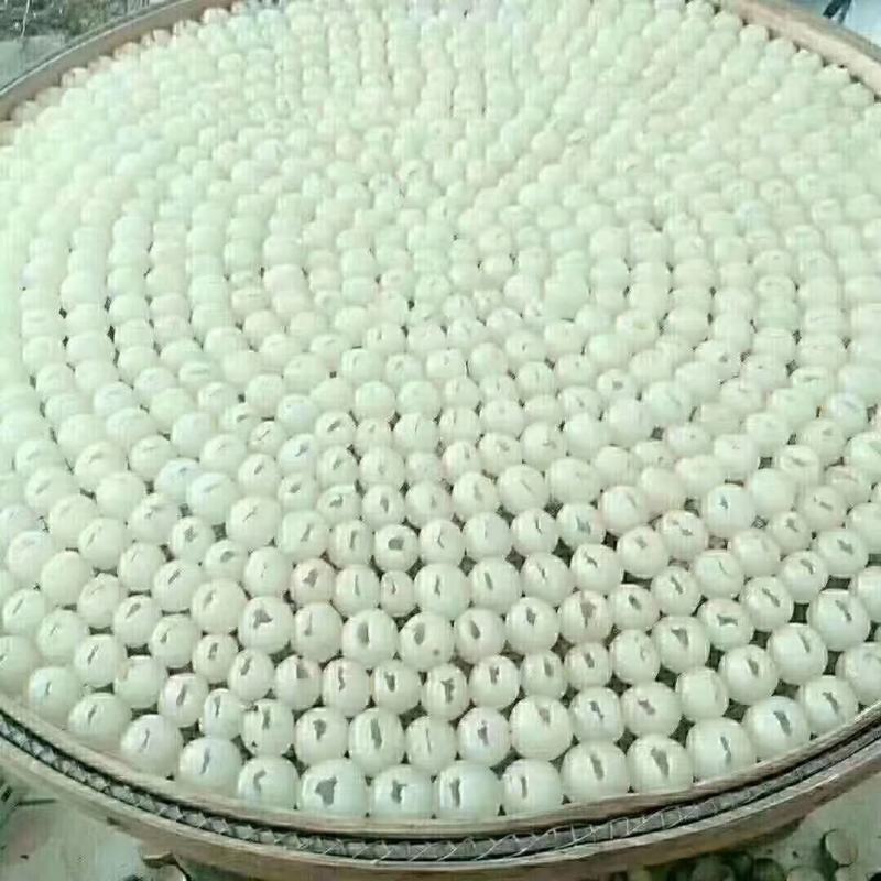 嗯，桂圆干桂圆肉促销。