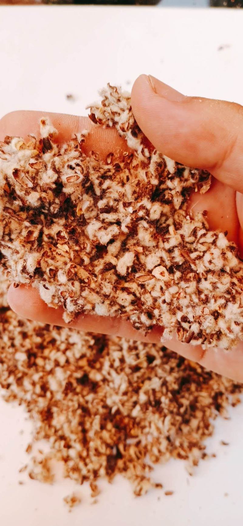 【优选好货】棉籽壳，质量保证，厂家直销，量大优惠！