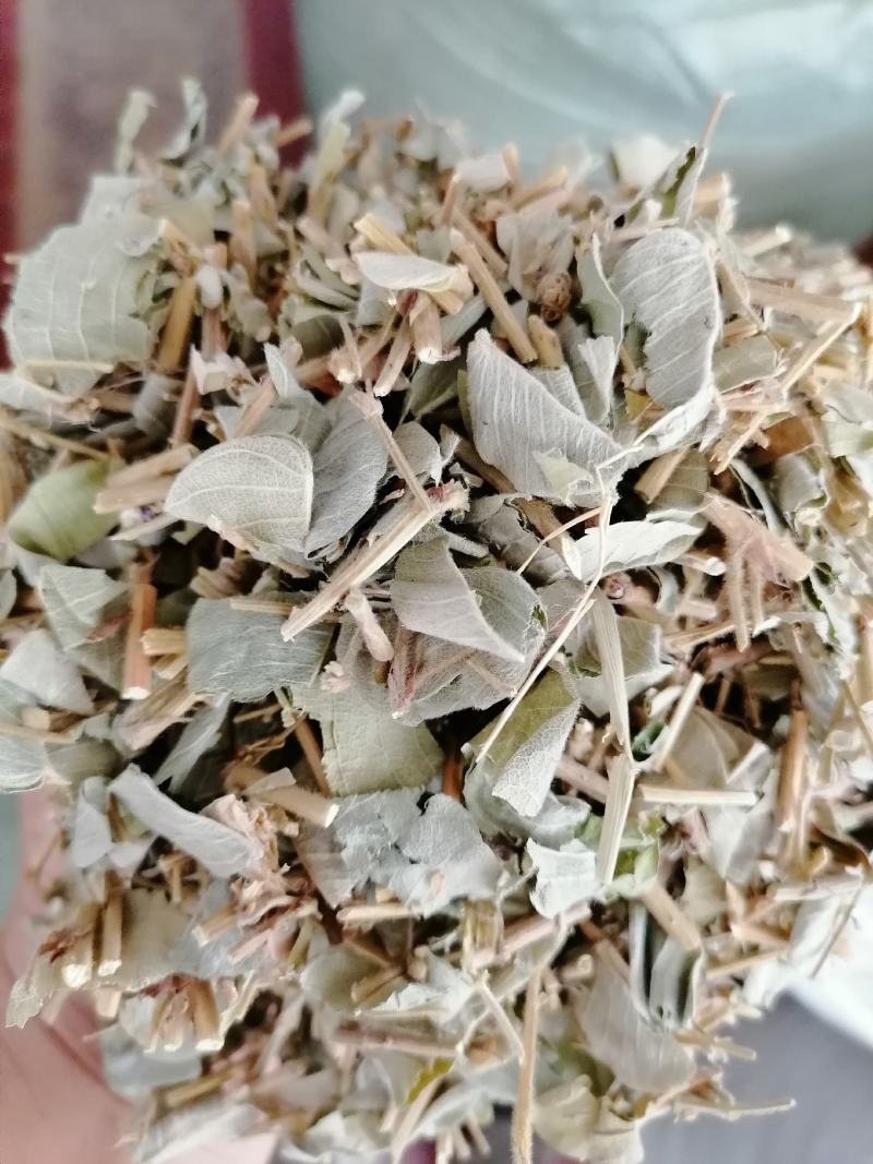 广西特产，金钱草，新鲜干净无杂质，筛过粉，大货供应