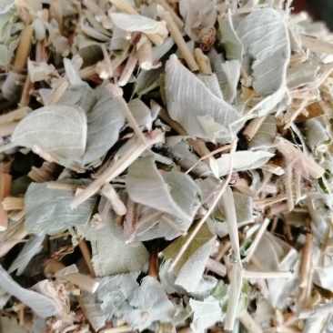 广西特产，金钱草，新鲜干净无杂质，筛过粉，大货供应
