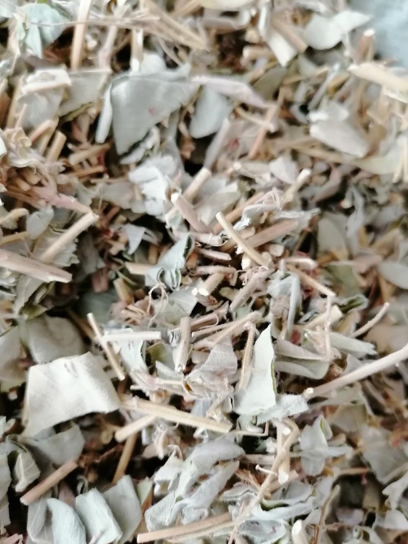 广西特产，金钱草，新鲜干净无杂质，筛过粉，大货供应