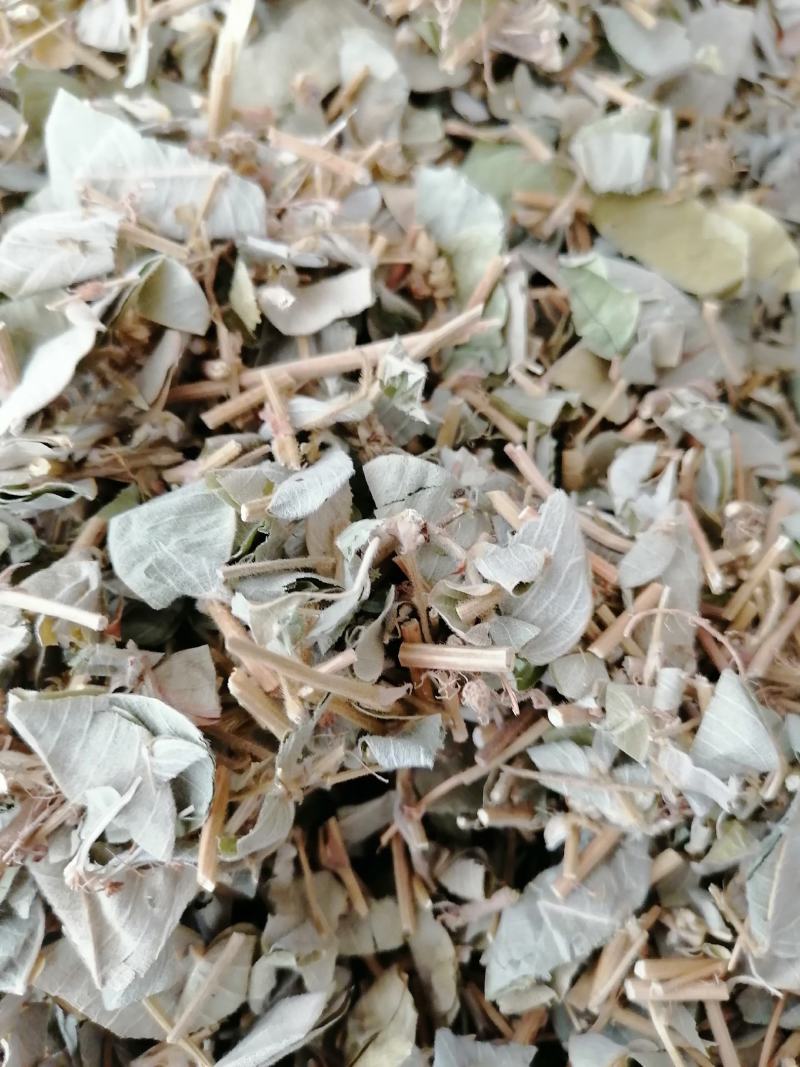 广西特产，金钱草，新鲜干净无杂质，筛过粉，大货供应