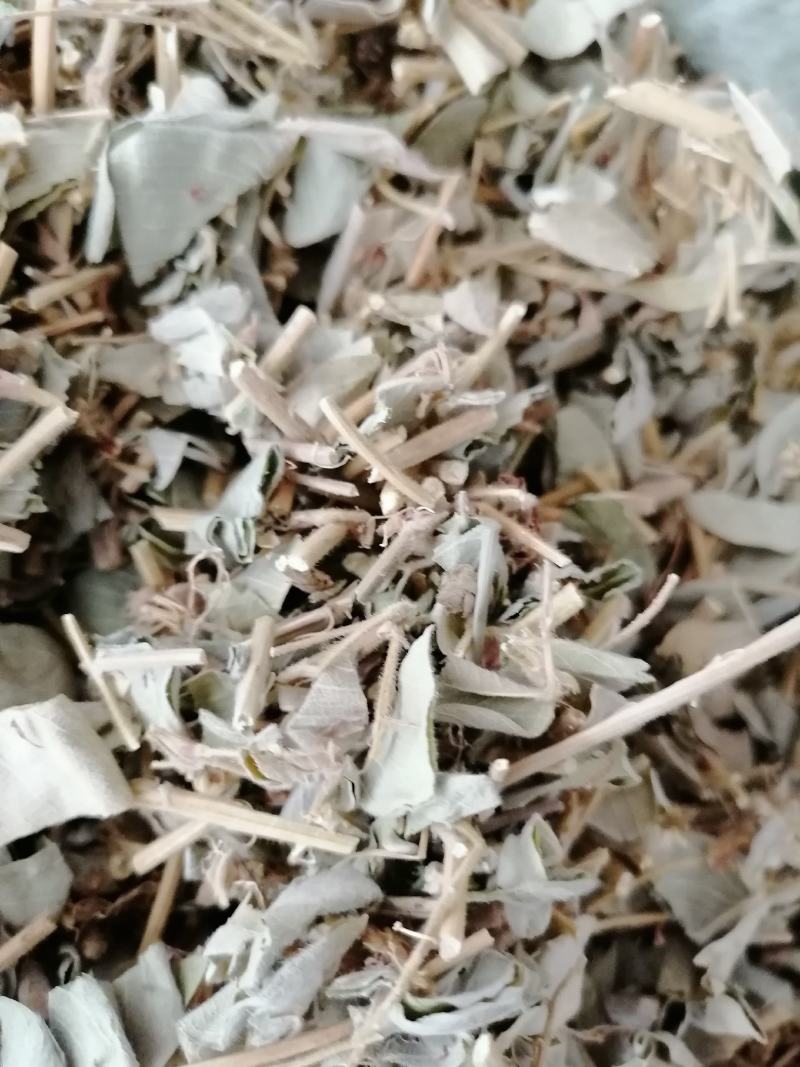 广西特产，金钱草，新鲜干净无杂质，筛过粉，大货供应
