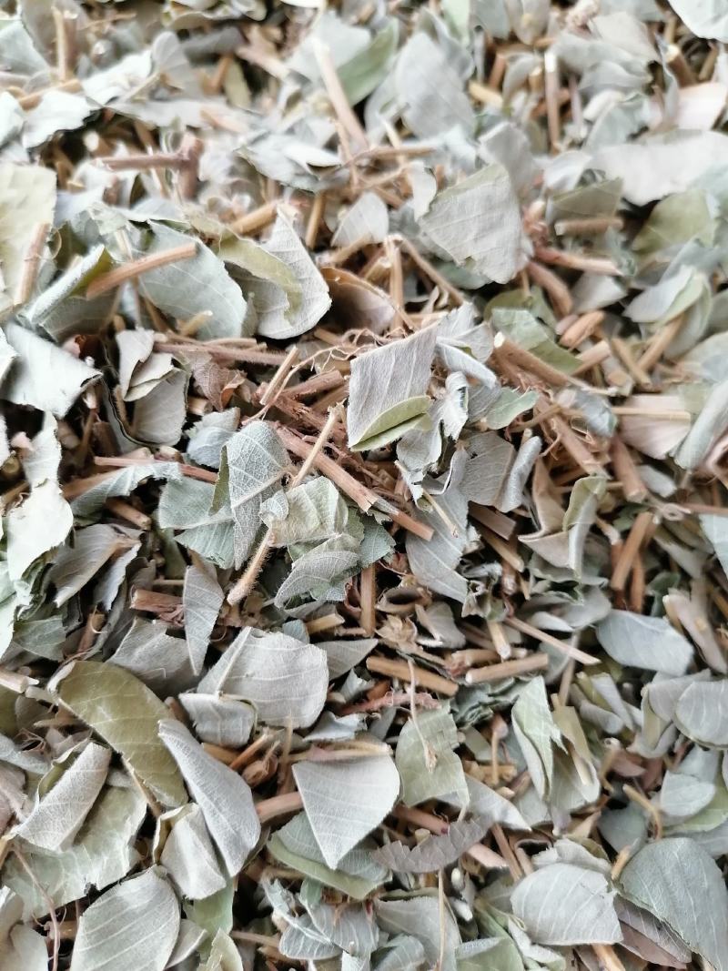 广西特产，金钱草，新鲜干净无杂质，筛过粉，大货供应