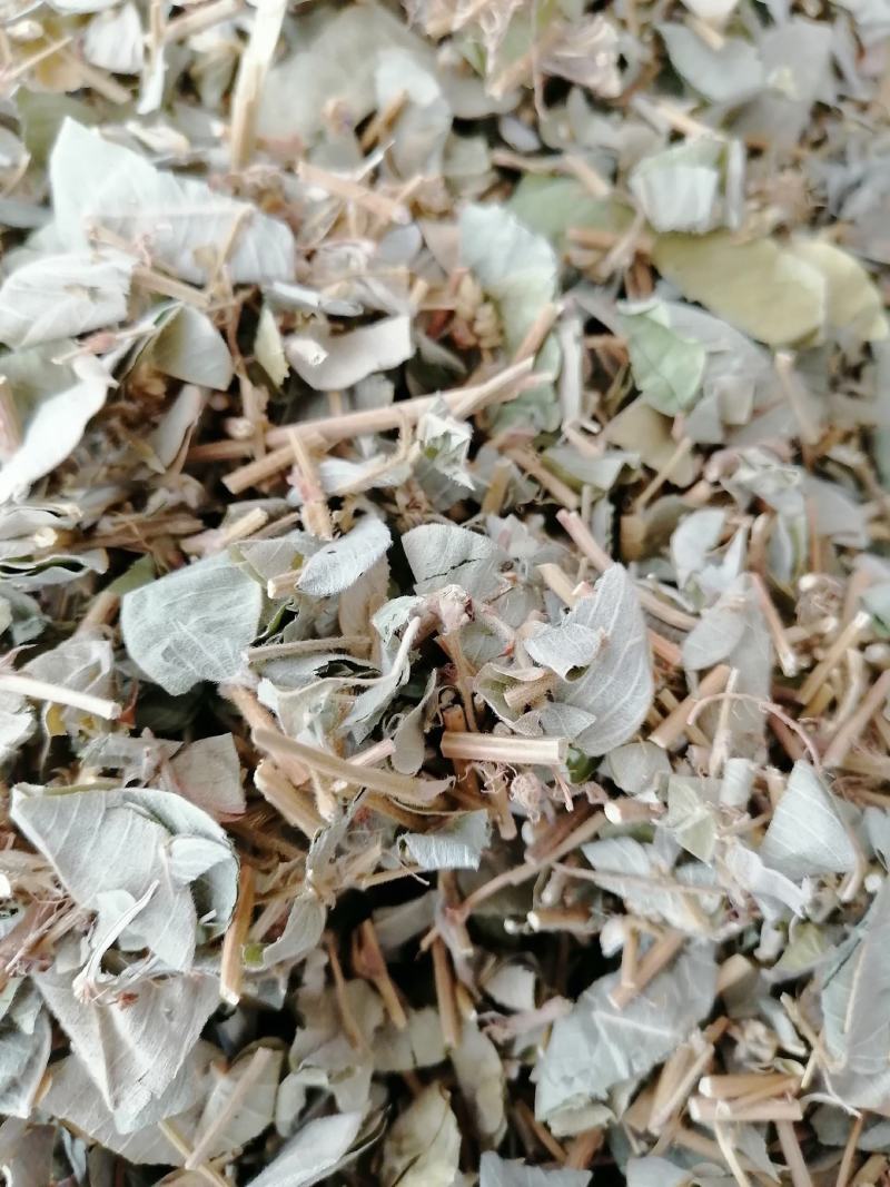 广西特产，金钱草，新鲜干净无杂质，筛过粉，大货供应